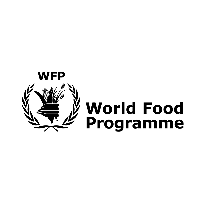World Food Programme WFP Logo